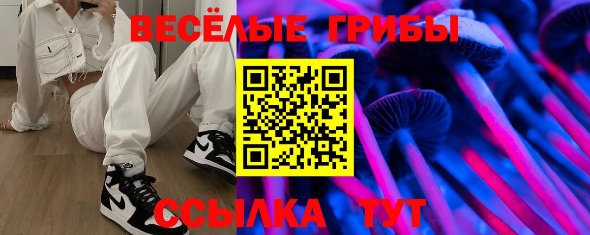 Галлюциногенные грибы мицелий Новочеркасск